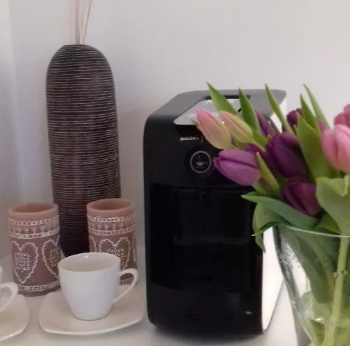 Daire Kapitan J.goyki Sopot