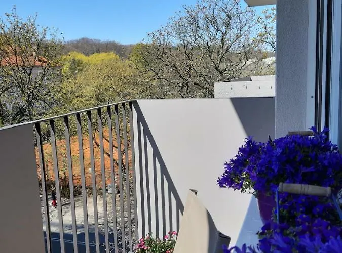 Daire Kapitan J.goyki *