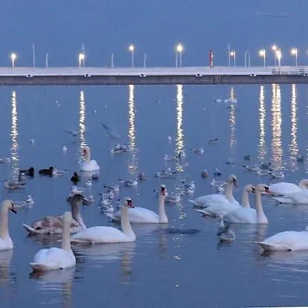 Apartamento Kapitan J.goyki