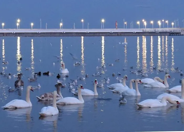 Lejlighed Kapitan J.goyki